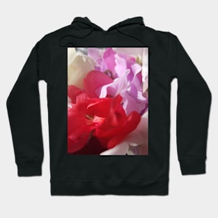 Sweat Peas One Hoodie